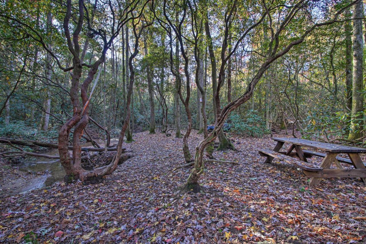 5-Acre North Georgia Mountain Retreat With Creek! Villa Sautee Nacoochee Buitenkant foto